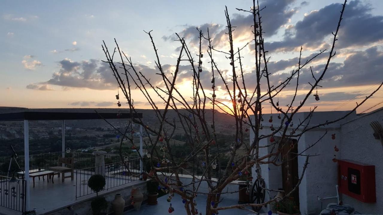 Lavender Cave Hotel เนฟซิเฮียร์ ภายนอก รูปภาพ
